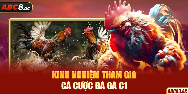 Kinh nghiệm tham gia cá cược đá gà C1Kinh nghiệm tham gia cá cược đá gà C1