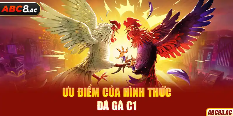 Ưu điểm của hình thức đá gà C1