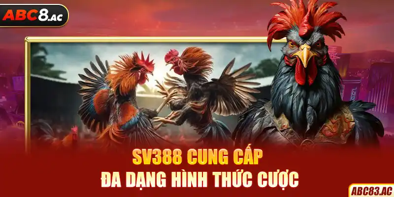 SV388 cung cấp đa dạng hình thức cược