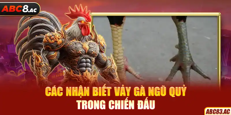 Các nhận biết vảy gà ngũ quỷ trong chiến đấu